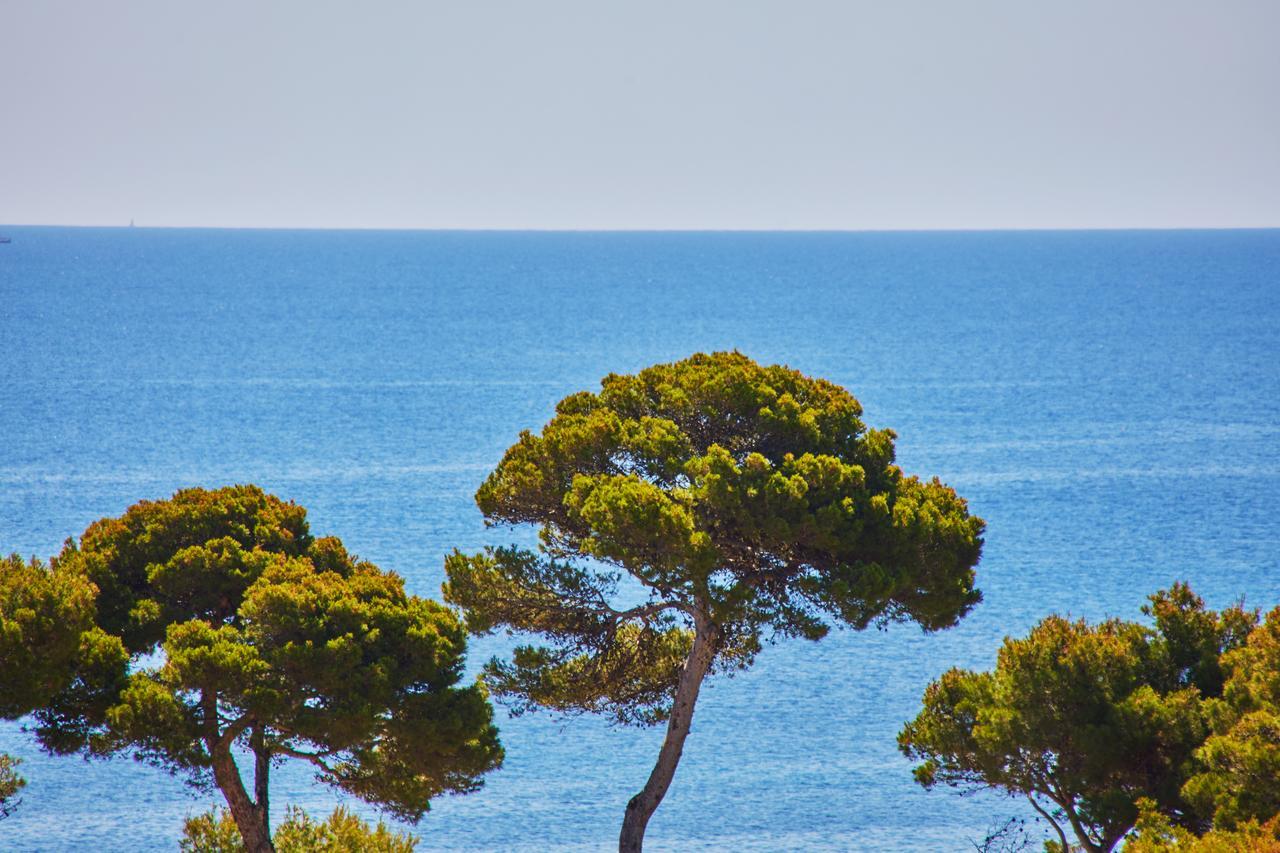 Petit Hotel Ses Rotges - Only Adults Cala Ratjada  Εξωτερικό φωτογραφία